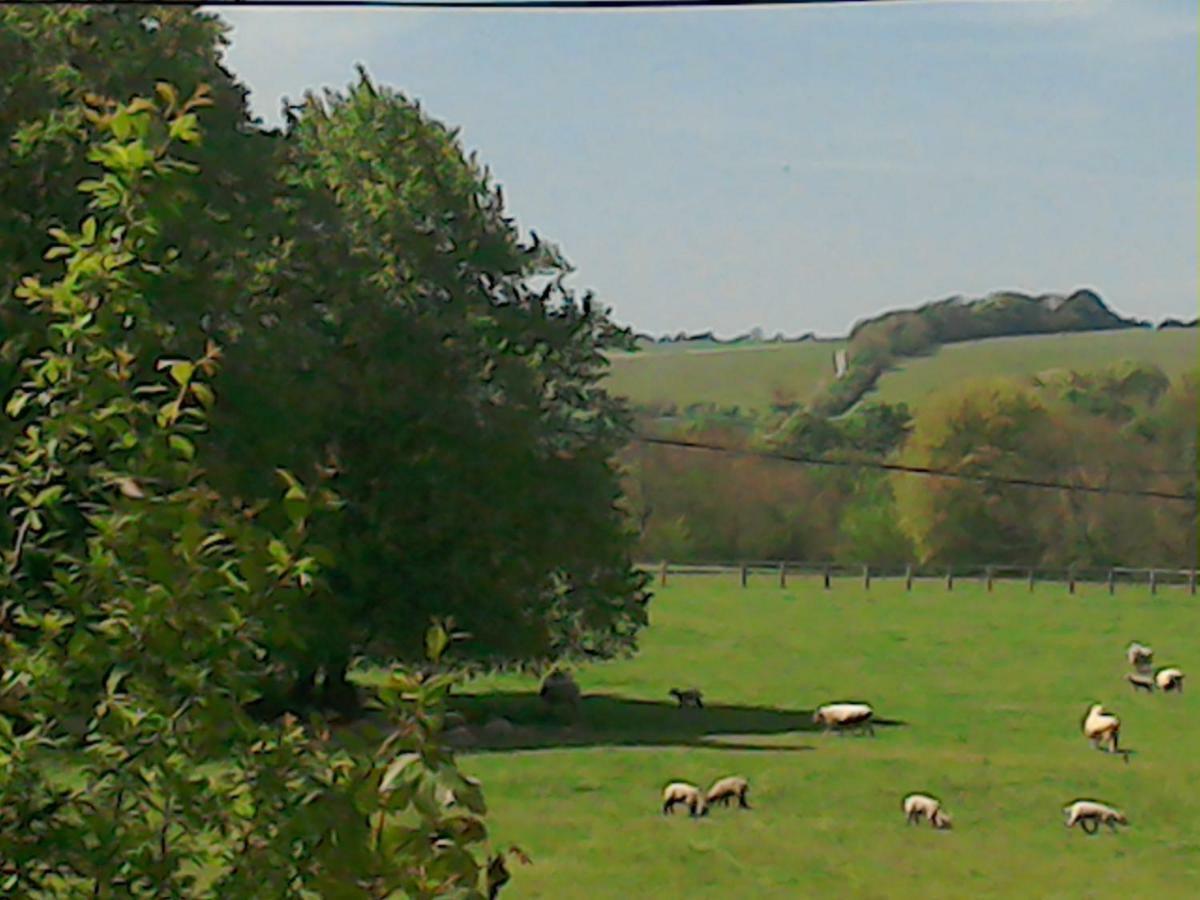 The Crown Inn Alvediston Luaran gambar