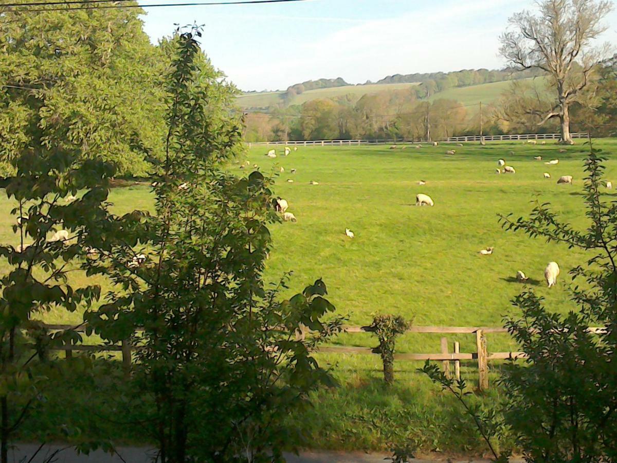 The Crown Inn Alvediston Luaran gambar