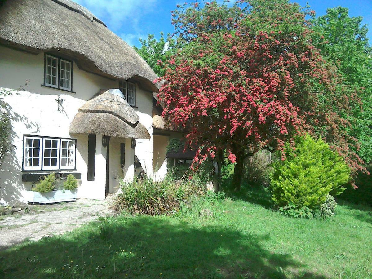 The Crown Inn Alvediston Luaran gambar