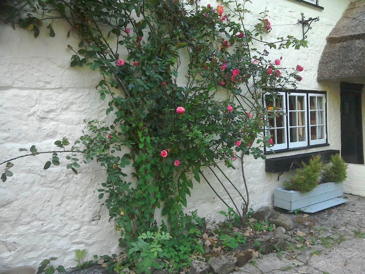 The Crown Inn Alvediston Luaran gambar