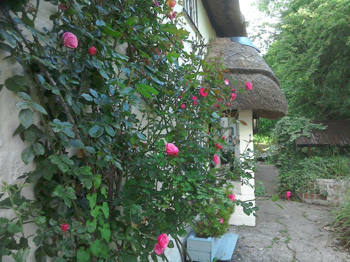 The Crown Inn Alvediston Luaran gambar
