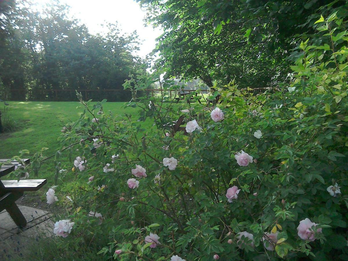 The Crown Inn Alvediston Luaran gambar