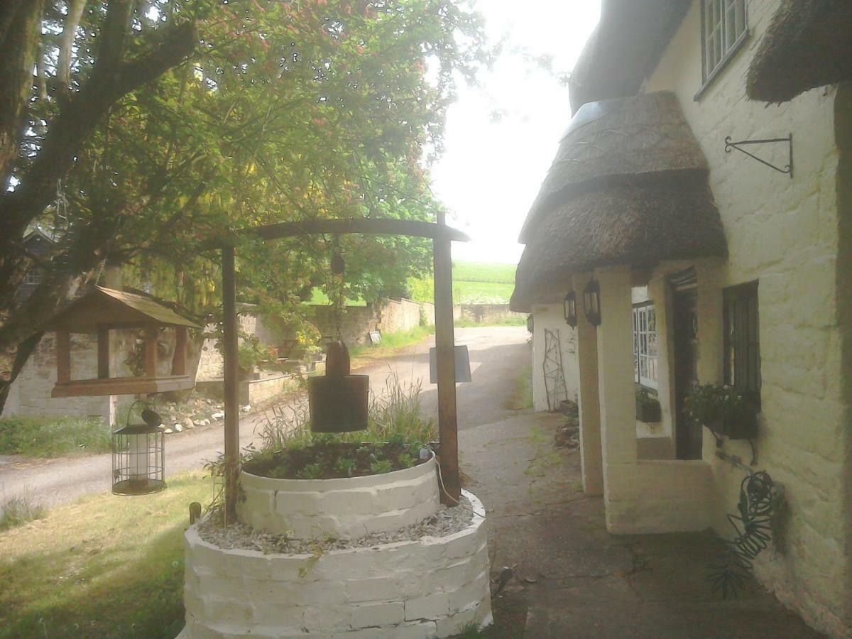 The Crown Inn Alvediston Luaran gambar